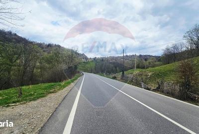 Teren de 2910 mp, în Hangu - 4