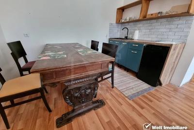 Casa 5 cam., 300 mp, crama, gradina, iaz, aer curat, liniste,  cartier Gruia - 20