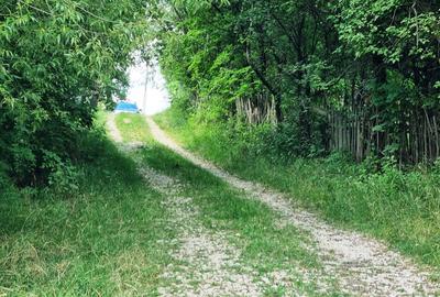 Teren Construcții intravilan de 5700 mp, în Câmpulung Muscel - 17