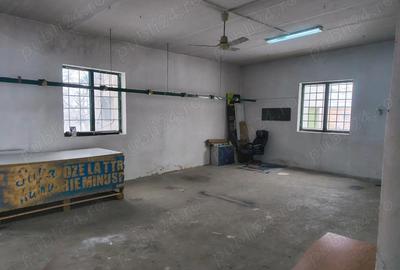 Spațiu comercial, de 70 mp, în Tinca - 2