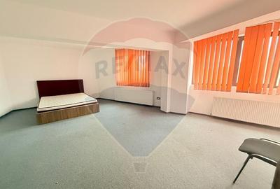 Casa / Vila de inchiriat pretabila muncitori - 6