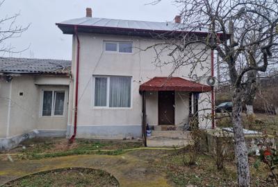 Vila P+E si teren intravilan 1,5Ha,cu zavoi+iaz,lac peste si livada-investitie - 23