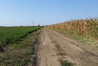 Teren de 15000 mp, în Agigea - 4