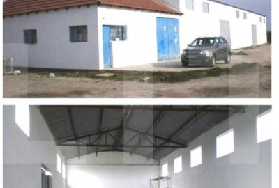 Depozit 483 mp Utvin Acces TIR, Curent Trifazic - 2