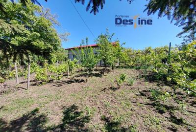 Casa individuala P+M, 164 mp utili + 1062 mp teren, COPOU Casa individuala P+M, 164 mp utili + 1062 mp teren, COPOU - 2