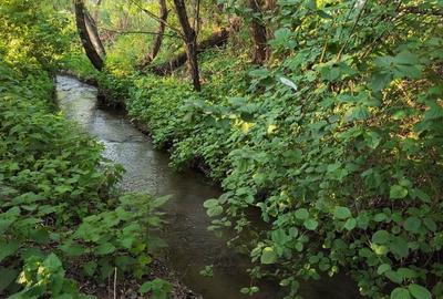 Casă cu 3 camere cu Teren 1076 Mp în Șibot - 6