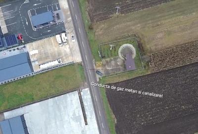 Teren de 14066 mp, în Mihoveni - 3