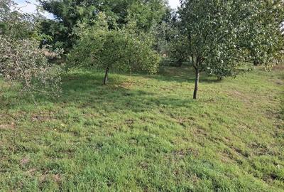 Casă cu 2 camere în Iratoșu - 5
