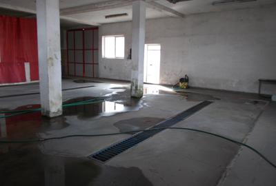 Inchiriez hala situata in Lazaret,200m,pretabila spalatorie,service - 6