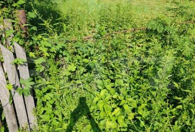 Teren de 4183 mp, în Central - 3