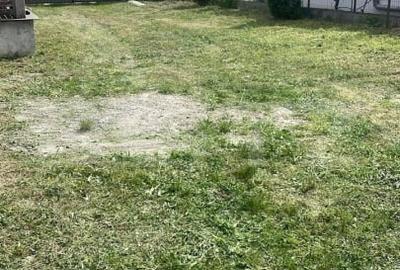 De vanzare , casa cu teren intravilan 3000mp , zona Ciuperceni - 20