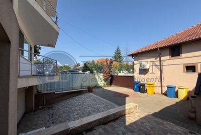 Vila impresionanta si afacere langa Parcul Romanescu 700mp - 11