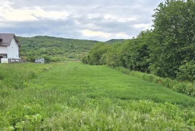 Teren de 2551 mp, în Măgureni - 8