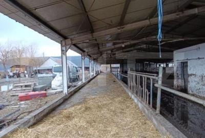 Spațiu comercial, de 6,600 mp, în Valea Lungă - 5