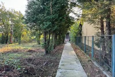 Casă cu 1 camere cu Teren 2000 Mp în Lipovei - 8