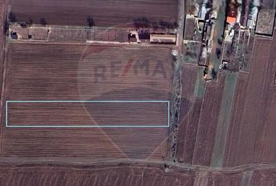 Teren de 4577 mp, în Slătioara - 1