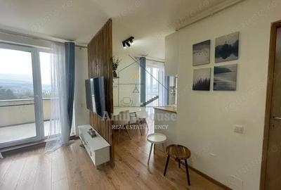 Apartament 2 camere de inchiriat, 47 mp cu terasa 21 mp, str Razoare Vivo - 5