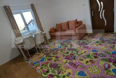 Casa renovabila, 2 camere, zona Cetate - 6