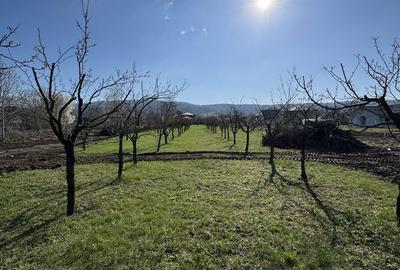 Spațiu comercial, în Central - 13