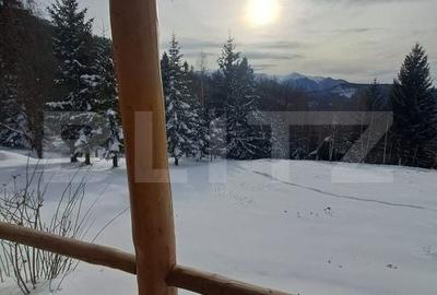 Casă cu 2 camere cu Teren 20000 Mp în Predeal - 6