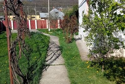 Casă individuală cu 5 camere cu Teren 1280 Mp în Central - 7