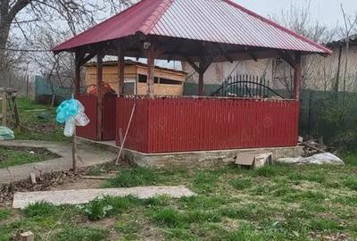 Casă cu 3 camere cu Teren 2533 Mp în Dunărea - 5