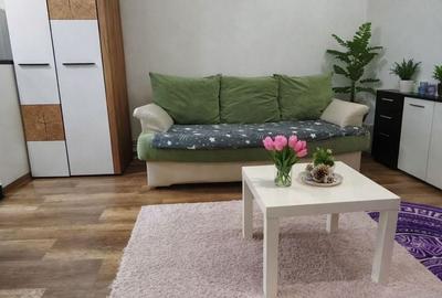 Garsonieră decomandată, mobilată în Tudor - 2