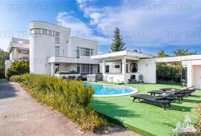Vila cu Piscina Termala, Pasarea, Branesti