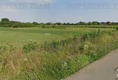 Teren de 500 mp, în Gruiu - 1