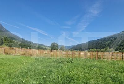 Teren Plaiul Foii, vedere spre muntii Bucegi si apa Barsa 10 - 2