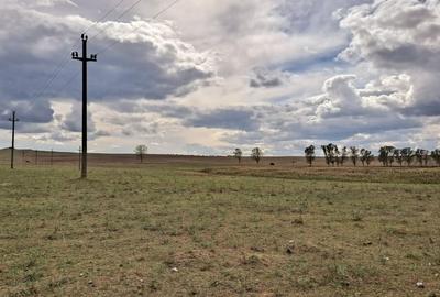 Teren intravilan de 1 Ha, cu iesire la lac, pretabil parc fotovoltaic sau turism - 10