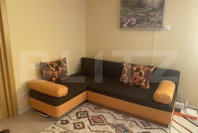 Casa de vanzare, cu 4 camere, 120 mp, zona Neagra Șarului - 2