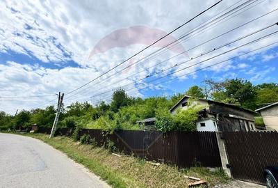 Casa taraneasca de vanzare- PARAVA-BACAU - 2