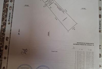 Spațiu comercial, în Crevedia Mare - 7