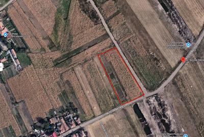 Teren de vânzare – 2.860 m² | Ideal pentru hale, case sau birouri - 1