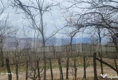 Teren în Schiulești - 2