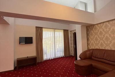 Vila premium cu piscina, zona Spa si facilitati hoteliere integrate, Cod 160400 - 17