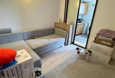 Garsonieră decomandată, mobilată în Alexandru cel Bun - 1