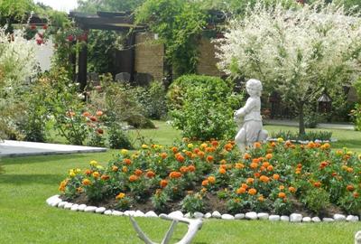 Pensiunea de Vis Pensiunea de Vis - 5