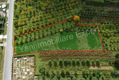 Teren de 2619 mp, în Oeștii Pământeni - 2
