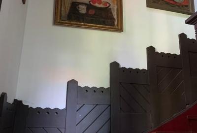 Apartament in vila cu arhitectura neoromaneasca + 917mp teren in curte amenajata - 3