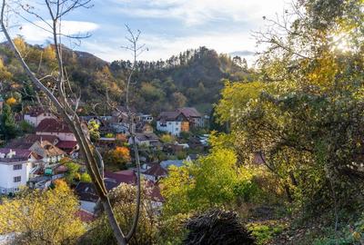OPORTUNITATE UNICĂ Schei 620mp Vedere Spectaculoasă Tâmpa | Proprietar - 7