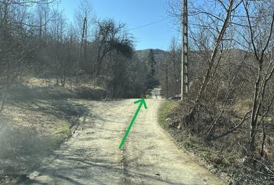 Spațiu comercial, în Breaza - 8