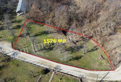 Teren de 1576 mp, în Borovinești - 5