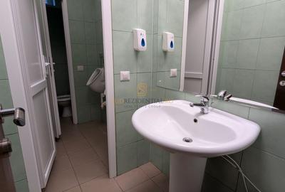 Cladire birouri D+P+4E si hala de productie, Dr.Lunca Cetatii, Sect.3 - 12