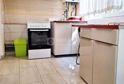 Bucium, apartament 1 camera cu terasa si garaj, la casa - 7