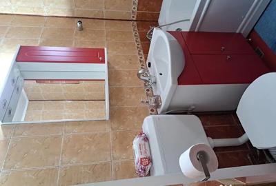 Apartament cu 3 camere decomandat în Central - 12