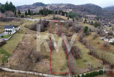 Teren Construcții intravilan de 3726 mp, în Dâmbovicioara - 1