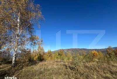 Teren de 17183 mp, în Boș - 2