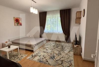 Chirie in Centrul Sibiului: Apartament cu Terasa Panoramica si Gradina!
